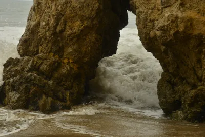 DSC_6551 (Large).JPG